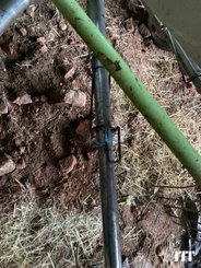 Rastrillos hileradores Claas Liner 450 - 4